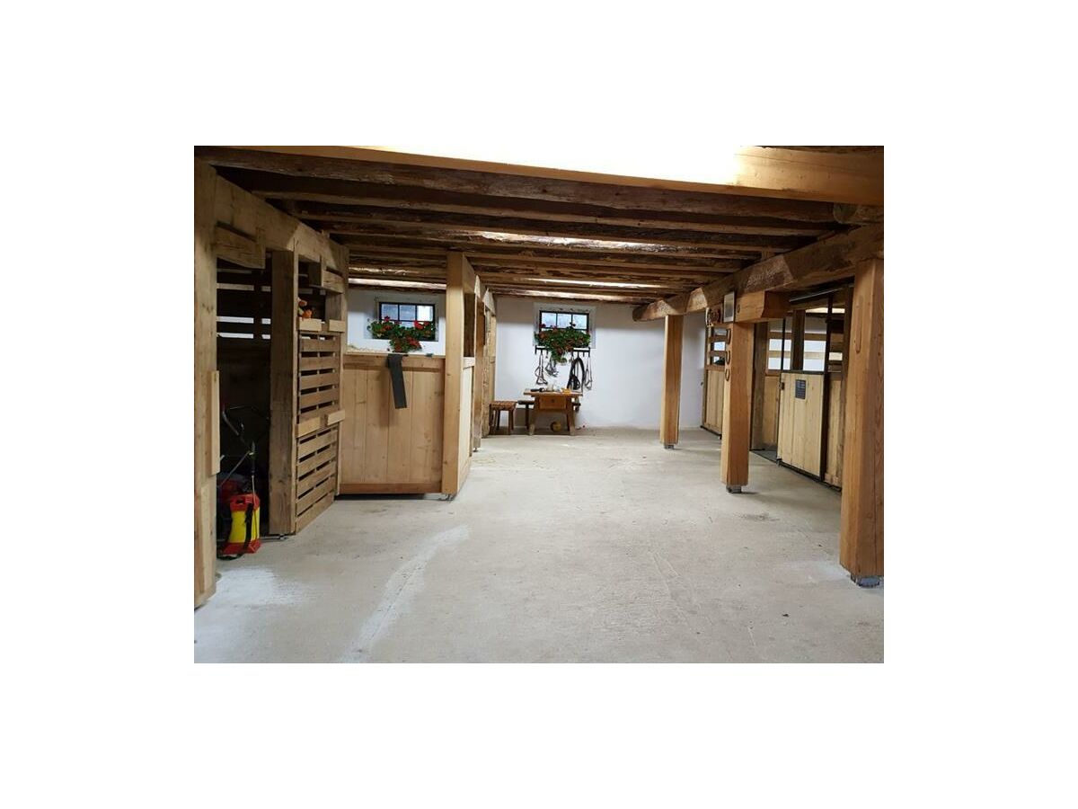 Apartment Appartement/Fewo, Dusche, WC, 2 Schlafräume - Outdoor photo 5