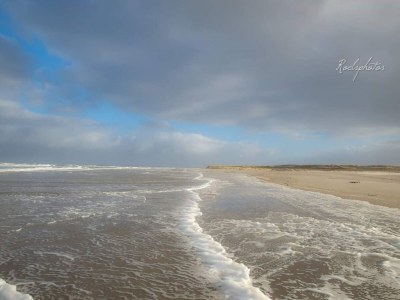 Bungalow Eureka 122 - Environment photo 31