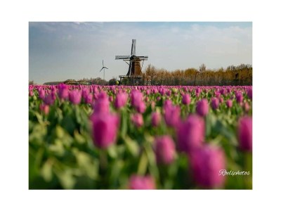 Bungalow Eureka 122 - Environment photo 32