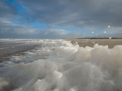 Bungalow Eureka 122 - Environment photo 34