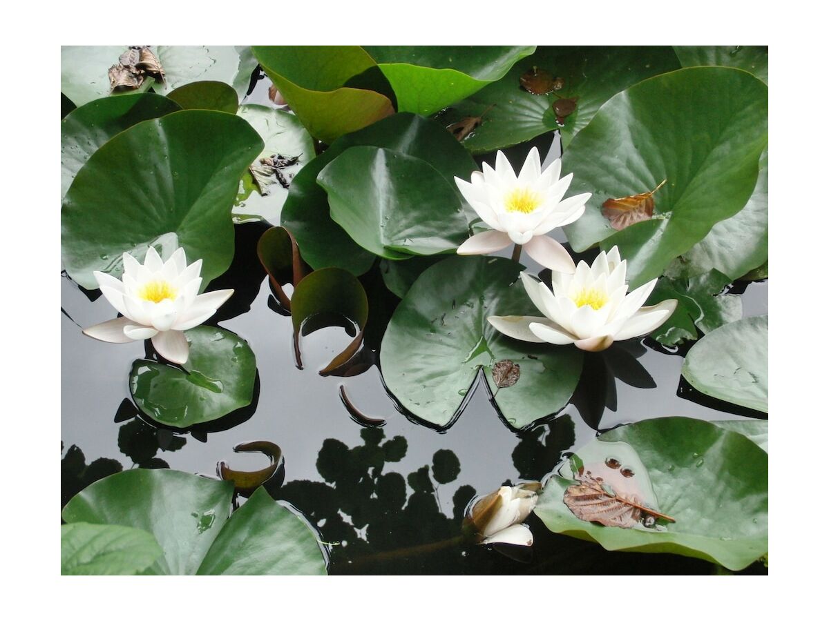 Holiday house Le Sine Nomine - Outdoor photo 5