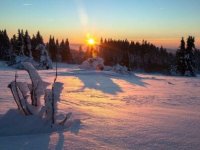 Christiane GROTHE-KLOSE