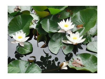 Holiday house Le Sine Nomine - Outdoor photo 5