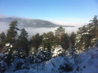 Holiday house Le Sine Nomine - Environment photo 21