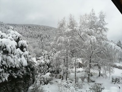 Holiday house Le Sine Nomine - Environment photo 24