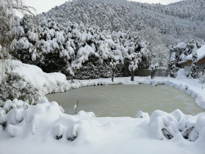 Holiday house Le Sine Nomine - Environment photo 27