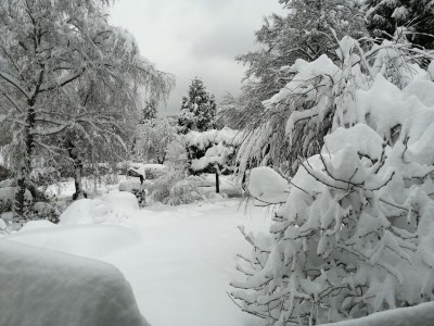 Holiday house Le Sine Nomine - Environment photo 28