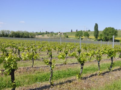 Holiday apartment Molini 13 - Outdoor photo 12