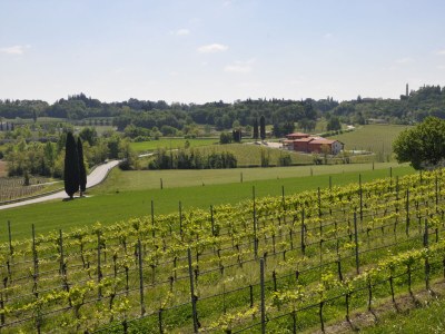 Holiday apartment Molini 13 - Outdoor photo 13