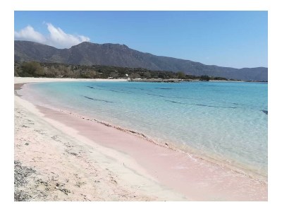 Villa Violetta - Environment photo 21