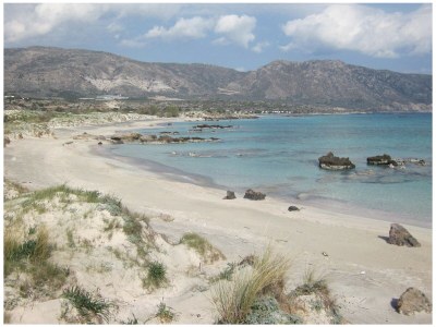 Villa Violetta - Environment photo 22