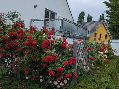 Holiday apartment Sweet Spot am Fleesensee - Outdoor photo 11