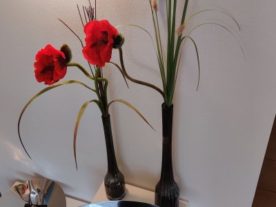 Holiday apartment Sweet Spot am Fleesensee - Features photo 18