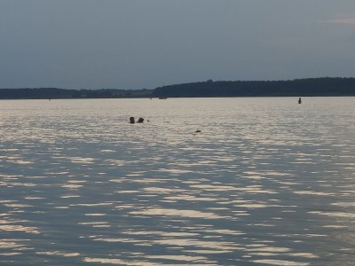 Holiday apartment Sweet Spot am Fleesensee - Environment photo 37