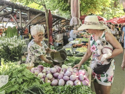 Villa Cave Romana - Environment photo 40