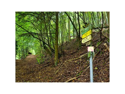 Chalet Jura Chalet Eggersberg - Environment photo 21