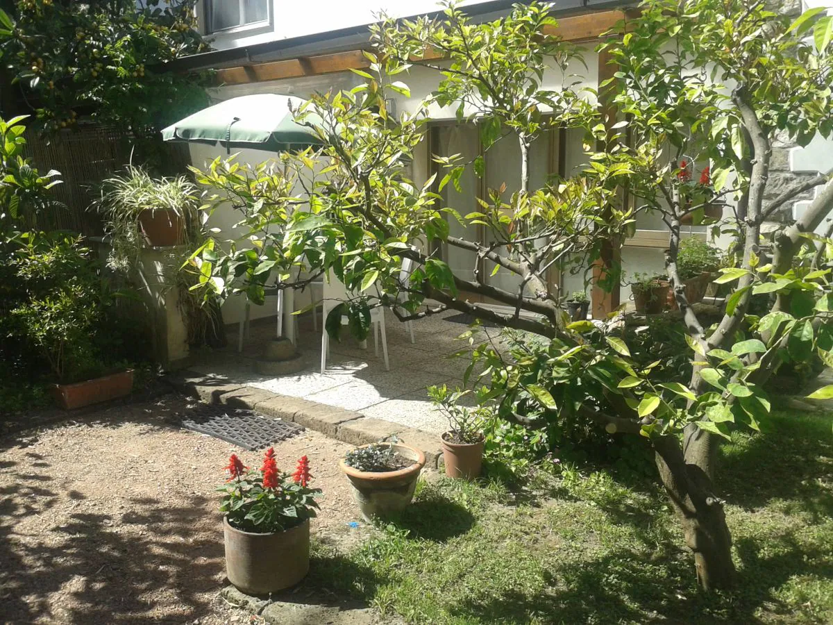 Holiday apartment "ML" at Casa Furrer - Outdoor photo 3