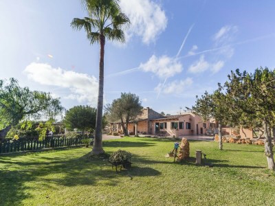 Finca Cas Misser - Environment photo 45