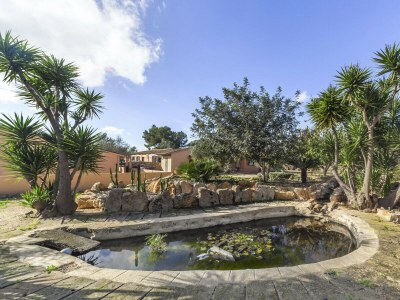 Finca Cas Misser - Environment photo 46