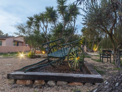 Finca Cas Misser - Environment photo 47