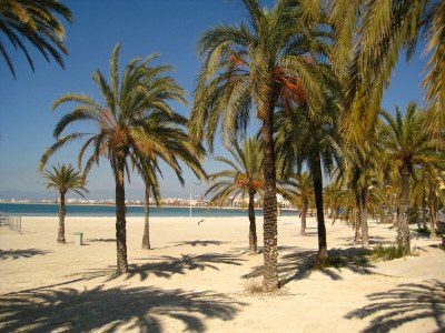 Villa Villa Maioris - Environment photo 25