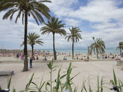 Villa Villa Maioris - Environment photo 27