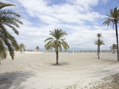 Villa Villa Maioris - Environment photo 28