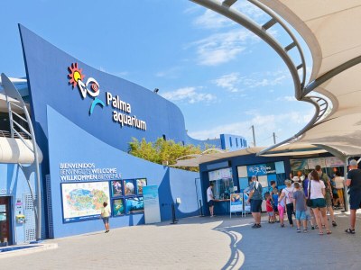 Villa Son Veri - Environment photo 32