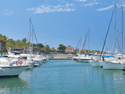 Villa Son Veri - Environment photo 37