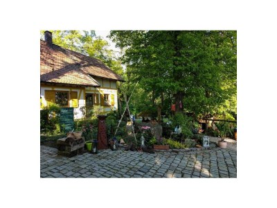 Holiday apartment Geisfelder Hof 63 II - Environment photo 16