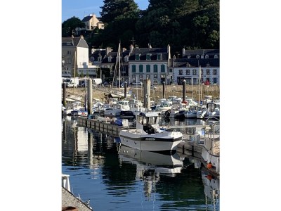 Villa Oxygène - Brittany - Environment photo 30