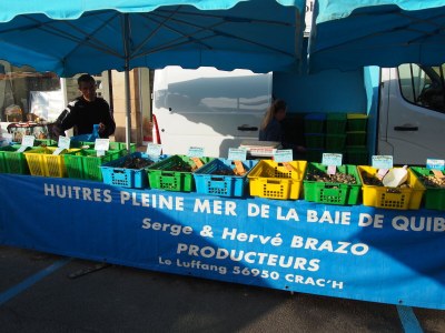 Villa Oxygène - Brittany - Environment photo 31