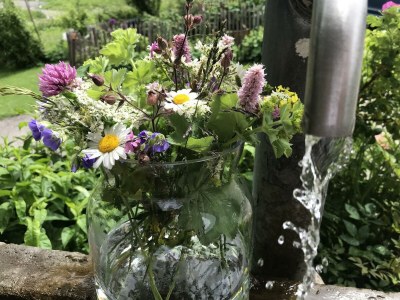 Apartment Apartment/2 Raum/Balkon Bergblick Nr. 14 - Outdoor photo 60