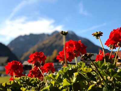 Apartment Apartment/2 Raum/Balkon Bergblick Nr. 14 - Outdoor photo 62