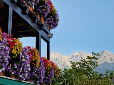 Apartment Apartment/2 Raum/Balkon Bergblick Nr. 14 - Outdoor photo 81