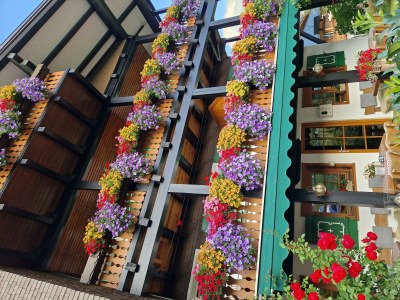 Apartment Apartment/2 Raum/Balkon Bergblick Nr. 14 - Outdoor photo 92