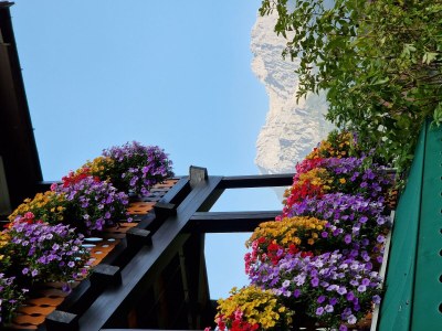 Apartment Apartment/2 Raum Nr. 12 - Outdoor photo 92