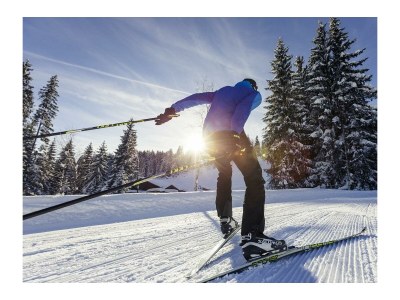 Apartment Moosbeere: Großzügiges 2-Zimmer-Chalet Nr. 101 - Outdoor photo 34