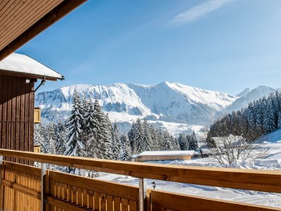 Apartment Sonnentau: Helles 1-Zimmer-Chalet Nr. 103 - Outdoor photo 9