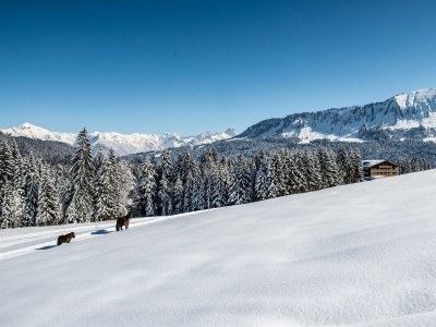 Apartment Moorbirke: Charmantes 2-Zimmer-Chalet Nr. 205 - Outdoor photo 36