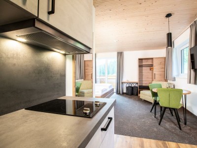 Apartment Sonnentau: Helles 1-Zimmer-Chalet Nr. 203 - Features photo 43