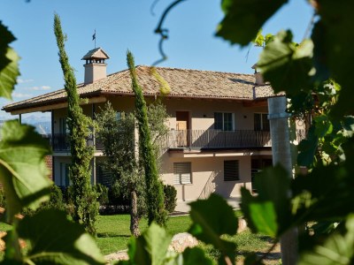 Holiday apartment Nofnerhof - Outdoor photo 6