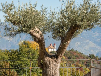 Holiday apartment Nofnerhof - Outdoor photo 7