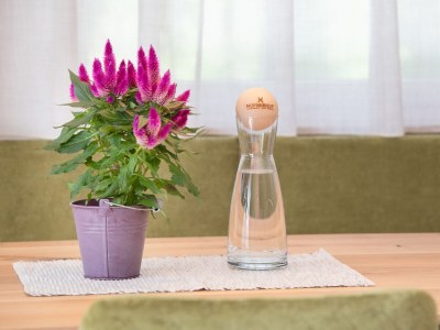 Holiday apartment Nofnerhof - Features photo 20