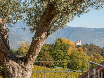 Holiday apartment Nofnerhof - Environment photo 34