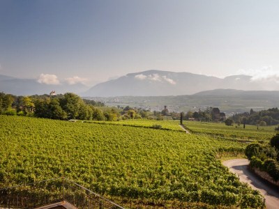 Holiday apartment Nofnerhof - Environment photo 35