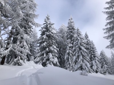 Chalet No title - Environment photo 27