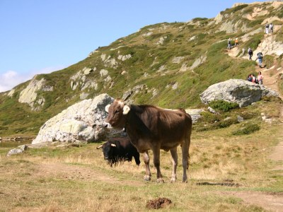 Chalet No title - Environment photo 32