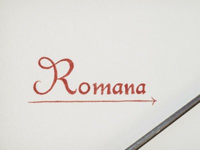 Apartment Appartement Romana - Features photo 21