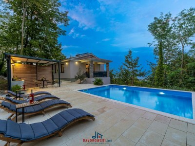 Villa InSa in Svetvinčenat - Villa